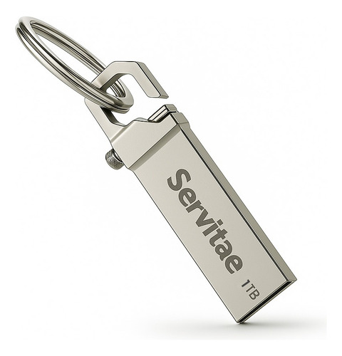 Memoria Usb 1tb Servitae Disco 1 Tera Flash Drive Llavero Color Plateado