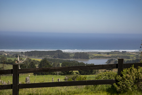 Reserva Natural En Punta De Lobos