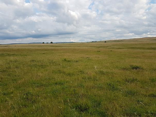 Campo En Mariscala - Lavalleja Ruta 8