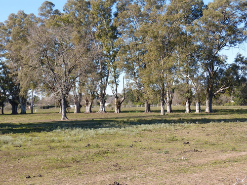 Terreno Lote En Venta En Parada Robles, Exaltación De La Cruz, G.b.a. Zona Norte