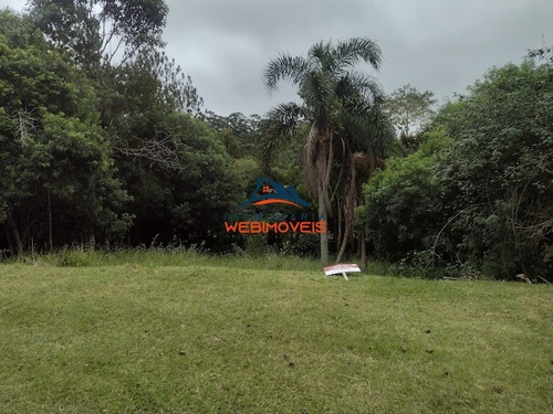 Imagem 2 de 5 de Terreno - Te00111 - 71128102