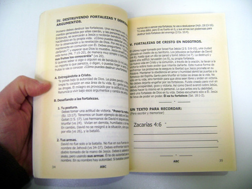 Abc Bases Fundamentales Vida Cristiana Guillermo Prein Boedo (Usado)