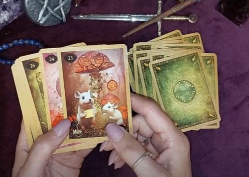 Lenormand Of Enchantment Stock Ya, Red Feather, Yasmeen W.