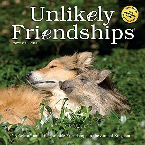 unlikely-friendships-wall-calendar-2022-holland-cuotas-sin-inter-s