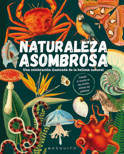 Naturaleza Asombrosa, De Mosquito Books. Editorial Mosquito Books Barcelona, Tapa Dura En Español