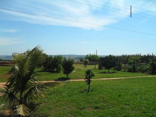 Imagem 16 de 30 de Sítio 5 Alqueires Sendo 3,5 De Pasto, Beira Da Pista, Lago,rio, Casa Sede, Casa Caseiro, Barracão, Pomar, Poço Artesiano, Caixa De Agua, Churrasqueira - St00095 - 69872057