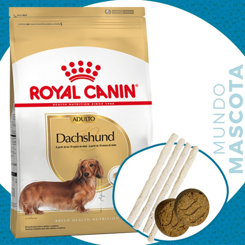 Alimento Perro Adulto Royal Canin Salchicha / Dachshund 3 Kg