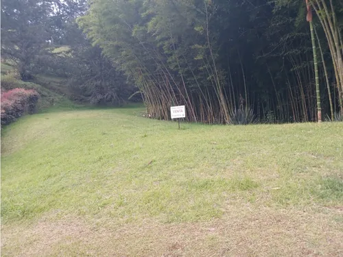 Lote Campestre En Venta En La Vía Don Diego La Ceja- El Chuscal