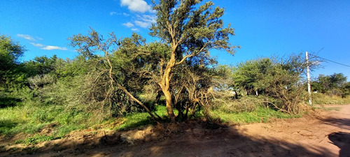 Terrenos En Cabildo-jujuy-catamarca-saavedra, Toay