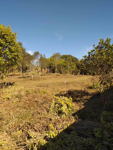 Imagem 8 de 11 de Chacara 2000m2