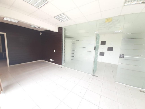 Imagem 11 de 16 de Sala Comercial De 135 M² No Saco Grande - Sa0775