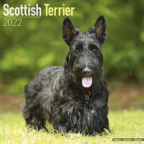 Scottish Terrier Calendar Dog Breed Calendars