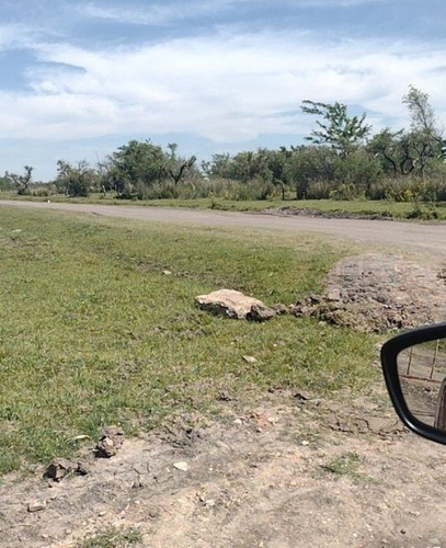 Imagen 4 de 10 de Se Vende Campo De 65 Hectareas En Rosario Del Tala, Entre Rios