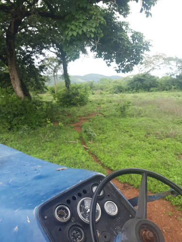 En Venta Finca En San Carlos Cojedes Asesor Carlos Daniel