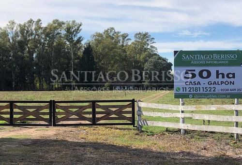 Terreno Campo  En Venta En Capilla Del Señor, Exaltación De La Cruz, G.b.a. Zona Norte