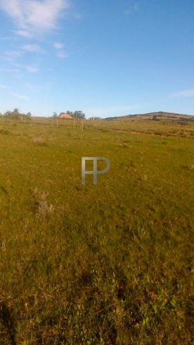 Imagen 4 de 6 de Campo En Venta Pueblo Edén 5 Hectáreas