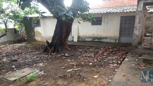 Imagem 5 de 6 de Terreno - Te00011 - 69304274