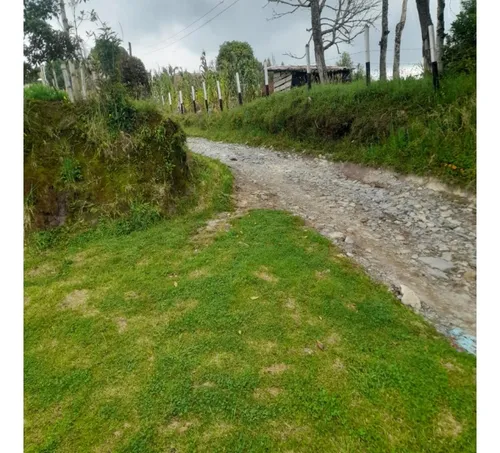Finca En Vender En La Unión