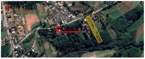 Imagem 5 de 5 de Lote Com 5400m² Localizado No Bairro Cupím. - 270