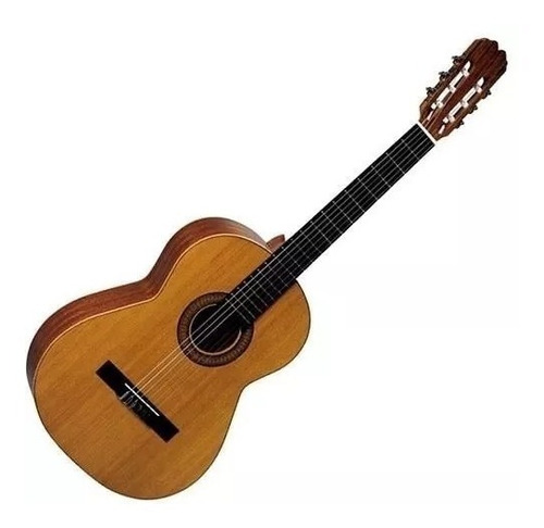 Guitarra Criolla Clasica Sevilla Valencia Icg39 Envío 