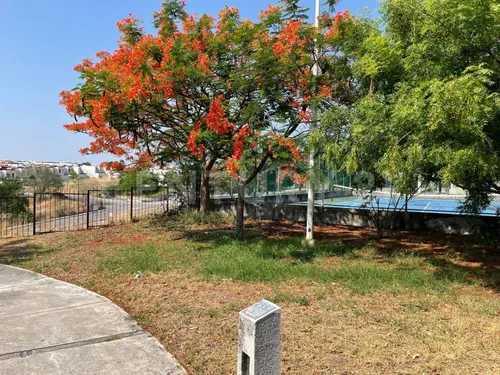 Casa En Fraccionamiento En Venta, Real De Santa Fe, Xochitepec, Morelos.