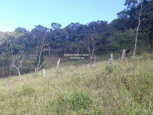 Imagem 4 de 5 de Vende-se Sítio Bairro Tevó - Km 50,5- Santa Isabel- Sp 841