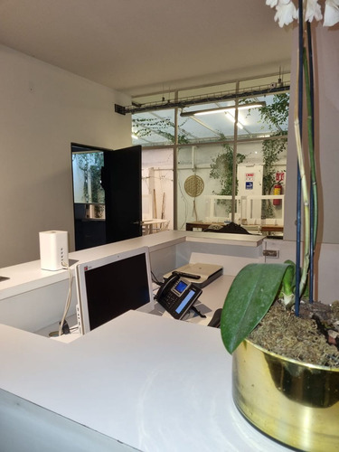Amplia Y Hermosa Casa Con Uso De Suelo En Col. Polanco