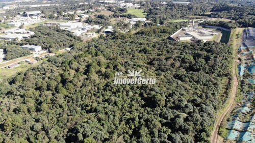 Imagem 15 de 23 de Área À Venda, 11914 M² Por R$ 5.766.419,56 - Cidade Industrial - Curitiba/pr - Ar0007