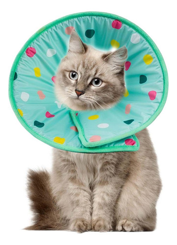 Gato Cono Perro Cono E Collar Anti Mordedura Lick M M
