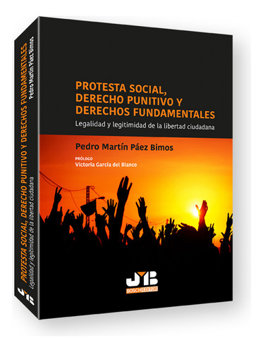 Protesta Social Derecho Punitivo Y Derechos Fundamentales - 