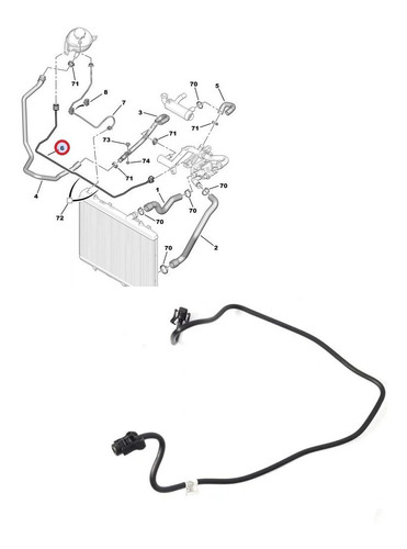 Manguera Auxiliar Radiador Citroen C4 1323a1