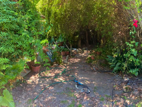 Casa En Venta De 4d En Terreno De 1.038 M2 En Requínoa