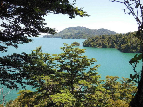 Imagen 4 de 30 de Isla Cui Cui Lago Puyehue 0