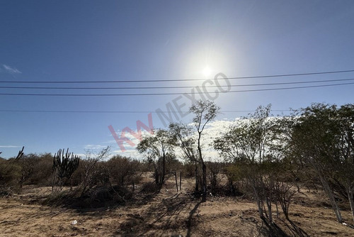 37.8 Hectáreas Para Desarrollar En Km9.5 Carretera Los Planes-la Paz Bcs