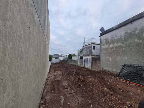 Imagen 4 de 10 de Alquiler. Trabajos Minicargador Bobcat. Retroexcavadora