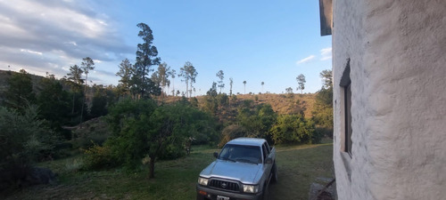 Imagen 12 de 29 de Venta De Campo + Vivienda En Athos Pampa - Tlc0609