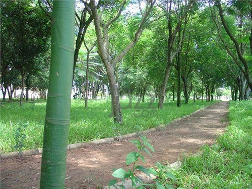 Imagem 8 de 11 de Terreno À Venda, 352 M² Por R$ 415.000,00 - Jardim Do Sol - Campinas/sp - Te0010