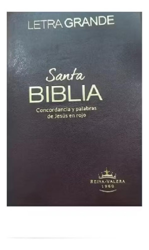 Santa Biblia De Letra Grande - Reina Valera - Café
