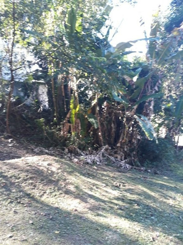 Imagem 3 de 10 de Terreno Em Piratininga, Niterói/rj De 1017m² À Venda Por R$ 370.000,00 - Te1153267-s