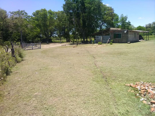Quinta