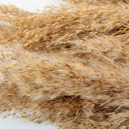 Capim Desidratado Marrom Natural 70x12cm Planta Artificial