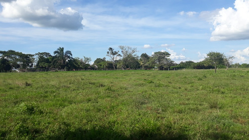 Imagen 10 de 10 de Finca En Barinas Santa Lucia