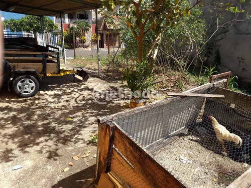 Terreno - Te00205 - 68207092