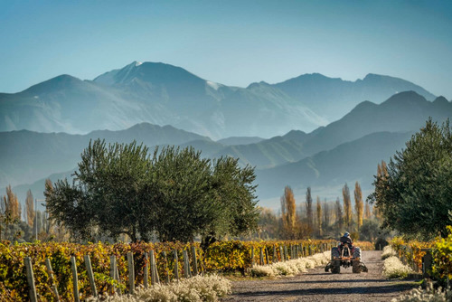 Vino Cheval Des Andes 2017 - 100 Puntos !!!