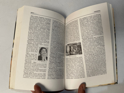 Diccionario Biográfico Histórico Y Geográfico Argentino (Usado)