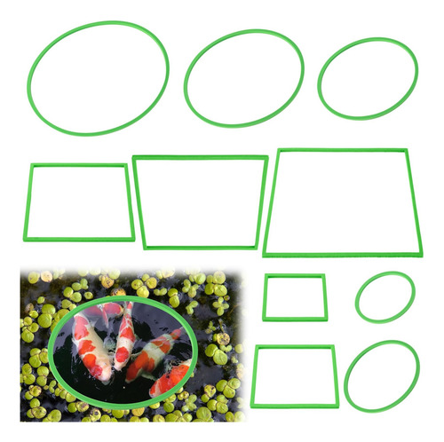 Conjunto De Anillos De Alimentación De Peces Deoozu 10pcs, Y