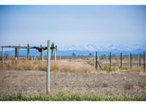 Venta Terreno / Lote San Rafael
