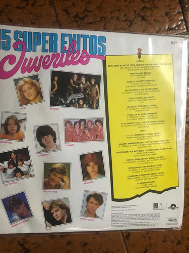 Disco Lp 15 Éxitos Juveniles Luis Miguel, Menudo, En Vinyl 