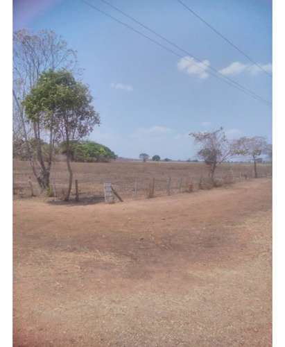 Se Vende Finca Ganadera/agropecuaria 2.700has Guárico 3431