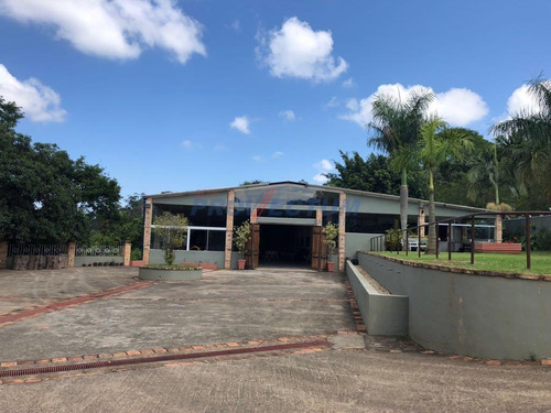 Imagem 2 de 22 de Prédio Para Aluguel Em Joaquim Egídio - Pr259680